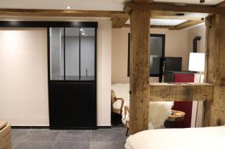 La Suite d'Ondine appartement avec espace wellness - Lobbes - 7