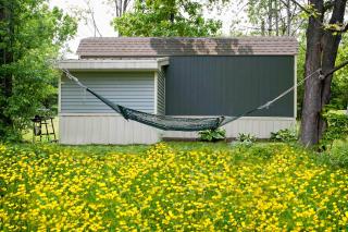 Lil Hickory - Hammondsport - 1