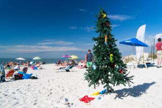 Crescent Royale 512 - Siesta Key - 4