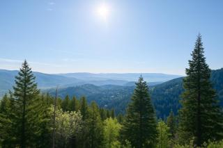 Epic Summer Base - A-Frame with Trails and Patio Views - Park City - 7