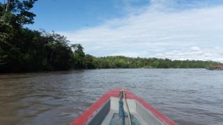 Shandia Lodge - Tena - 1