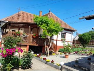 Casa Teonia - Tăşnad - 0
