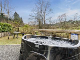 1 Bed in Llanidloes 56492 - Van - 8