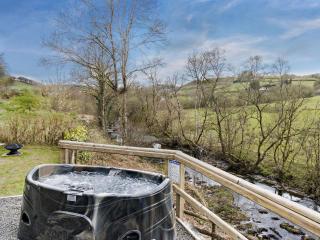 1 Bed in Llanidloes 56492 - Van - 9