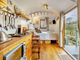 1 Bed in Llanidloes 56492 - Van - 7