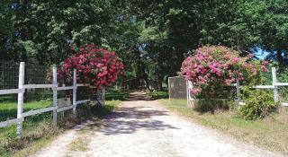 Gîte Au Milieu D'un Airial - - 8