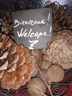 Gîte Au Milieu D'un Airial - - 4