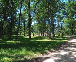 Gîte Au Milieu D'un Airial - - 9