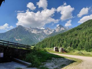 BIO Bauernhof GEISL - Sankt Ulrich am Pillersee - 1