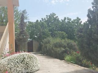 Hostel ESKO - Nardaran - 8