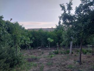 Hostel ESKO - Nardaran - 5
