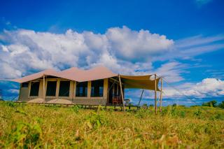Pumba Luxury Camp - Serengeti - Nkunjila - 5