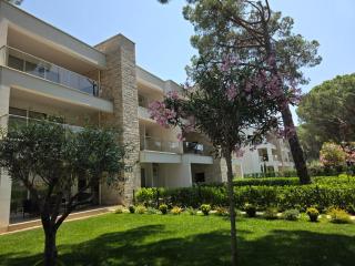 Blue Harmony - Lalzit Bay - 7