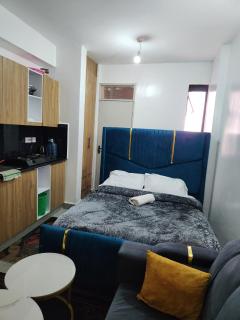 Luxe Studio Lumumba Drive Tsavo - Nairobi - 1