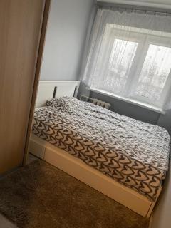 Jaukus butas centre - Klaipeda - 2