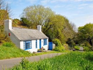 Crows Cottage - Fishguard - 0