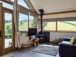 Heyope Cottage - Llangunllo - 8
