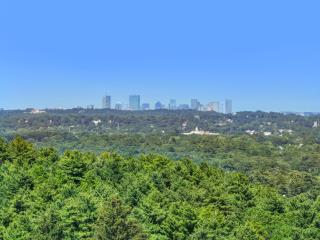 Luxury Boston Mansion W Pool Sleeps 18 - Dedham - 4