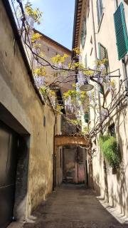 Belle Epoque B&B - Faenza - 6