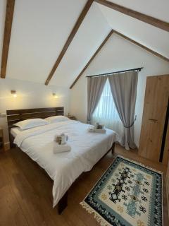 Casa Vonvea - Ocna Şugatag - 6