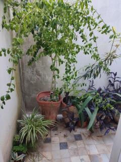 Studio à Carthage Yasmina - 1