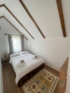 Casa Vonvea - Ocna Şugatag - 8