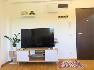 Tajna Ozrena - Sokobanja - 4