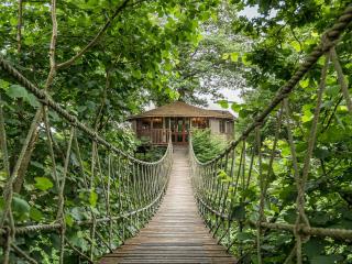 Bensfield Treehouse - Wadhurst - 0