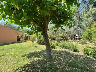 Green View, Geremeas, Sardegna - Maracalagonis - 2
