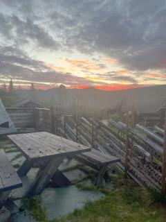 Luxury Log Cabin By Hardangervidda - Uvdal - 3
