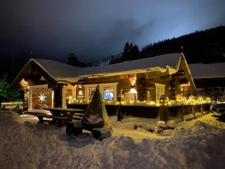 Luxury Log Cabin By Hardangervidda - 5