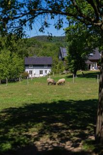Cozy Forest Cottage Near Klingen Trail - Solingen - 4