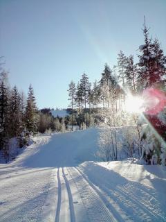 Log Cabin Near Vasaloppet Ski Trail In Gopshus - Blyberg - 2