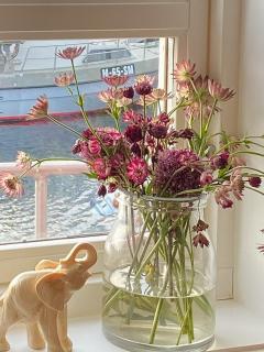 Charming Cabin On Veiholmen's Inner Harbor - 1