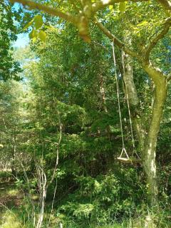 Forest House By Tisvilde Hegn On Natural Plot - 1