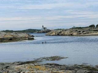 Architectural Gem With A View Of Lyngør - 2