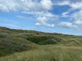 Spacious House With Sea View In North Jutland - Bindslev - 3