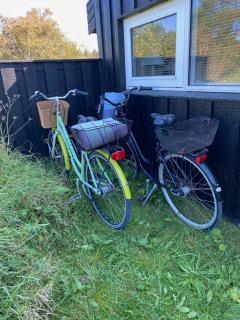 Spacious House With Sea View In North Jutland - 1