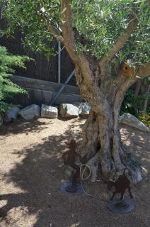 Villa Jordana One Step To The Beach - 4