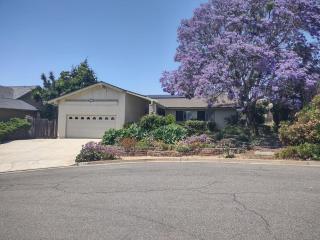 Custom Home - Beach close/convenient to everything - Oceanside - 9