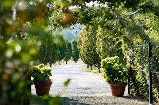 Tenuta La Meirana - Villa tra i vigneti - Gavi - 7