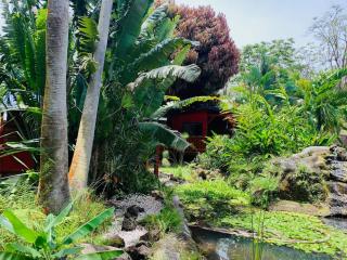 Le MORNE Aux F0US Cabanes & Jardin Tropical - 2