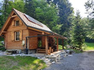Loghouse cabin in the Kočevje forest - Kočevje - 0