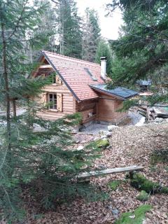 Loghouse cabin in the Kočevje forest - Kočevje - 5