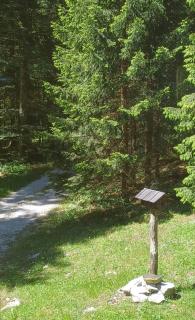 Loghouse cabin in the Kočevje forest - 1