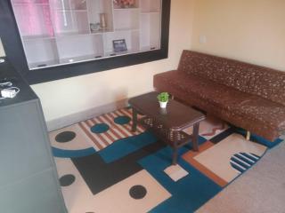 3 Bedroom villa coorg - Madikeri - 5