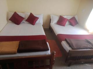 3 Bedroom villa coorg - Madikeri - 4