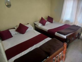 3 Bedroom villa coorg - Madikeri - 9