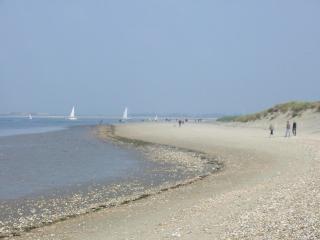 Beautiful Baytree Five Star Gold Beach and Harbour - Birdham - 6