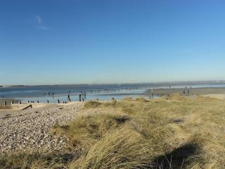 Beautiful Baytree Five Star Gold Beach and Harbour - Birdham - 5